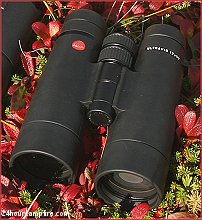 At only 12x, Leica's Ultravid competed for Best-In-Show honors. Superb glass, but still a Big Eyes compromise at 12x.